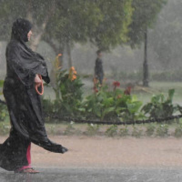 NGT raps Delhi government over report on rain water harvesting