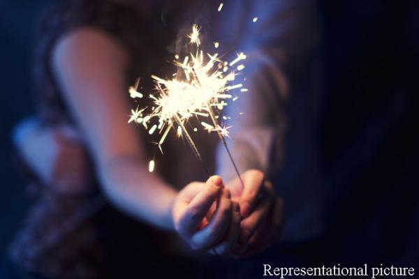 Supreme Court refuses to relax firecracker ban during Diwali