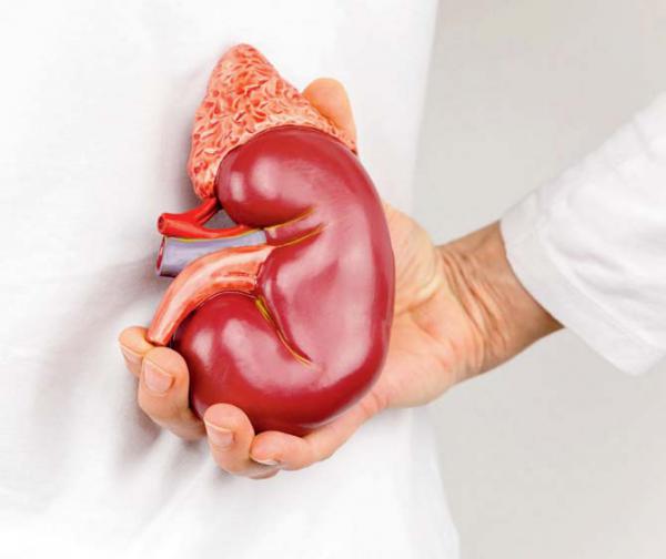 Woman tries to sell kidney to meet demand of her lover