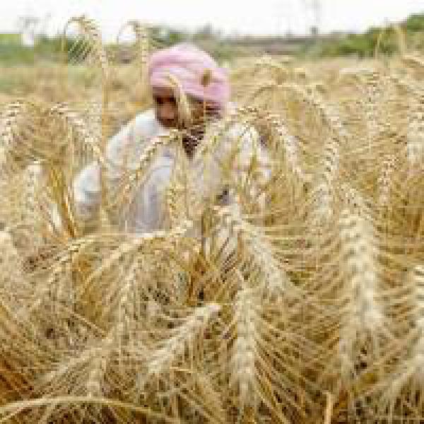 85% MNREGS wages paid in time this fiscal: Rural ministry