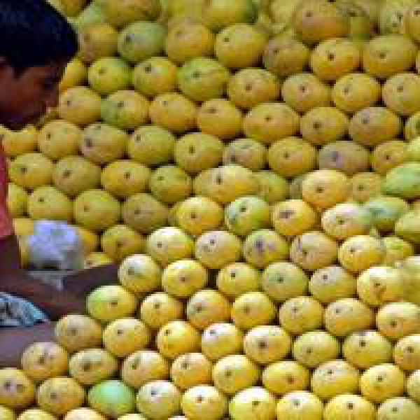 Banaganapalle mangoes, six others get GI tag this year