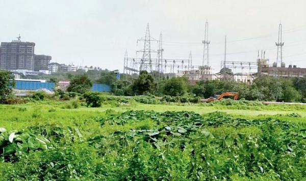 Mumbai: Over a lakh sign online petition to save Aarey Milk Colony