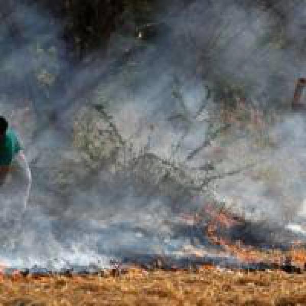 Come out with workable solution to stop crop burning: NGT