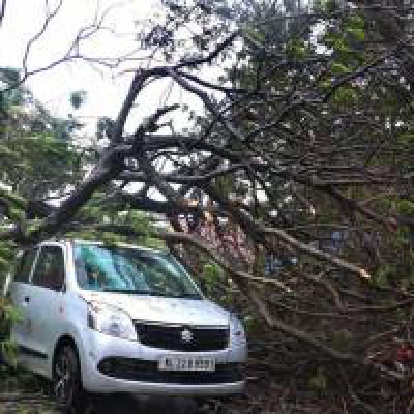 Cyclone Ockhi: Depression alert over south Andaman Sea; death toll reaches 5 in Kanyakumari district