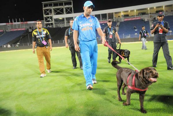 Dhoni The Labrador: Meet The Canine Who&apos;s Truly Living Up To His Famous Name