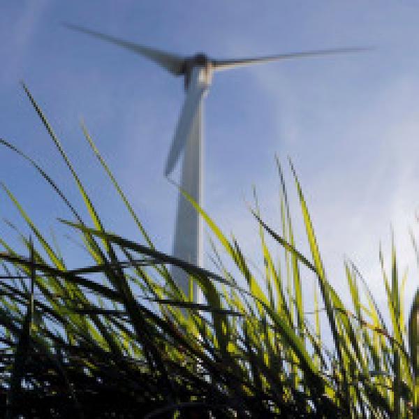 Suzlon Energy rises 2% on 252 MW wind power projects win