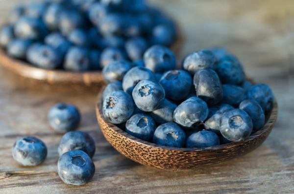 Blueberry vinegar may help fight dementia, says study