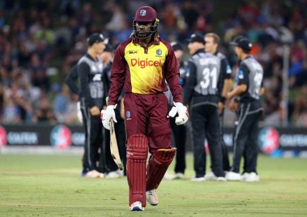 Stuart Law says Chris Gayle still has much to offer West Indies