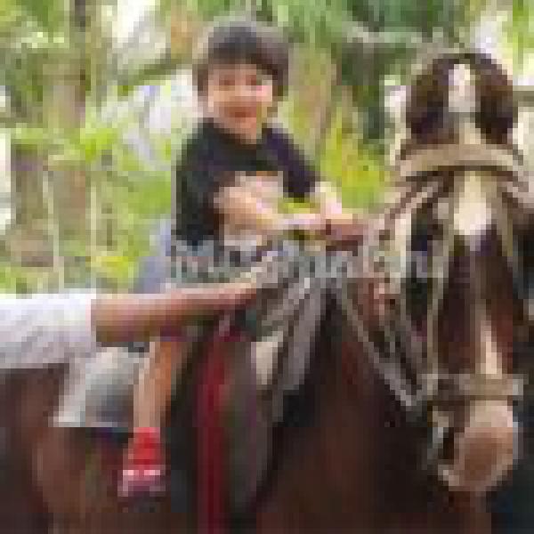 These Photos Of Taimur Ali Khan Out For A Horse Ride Are Too Cute To Be Missed